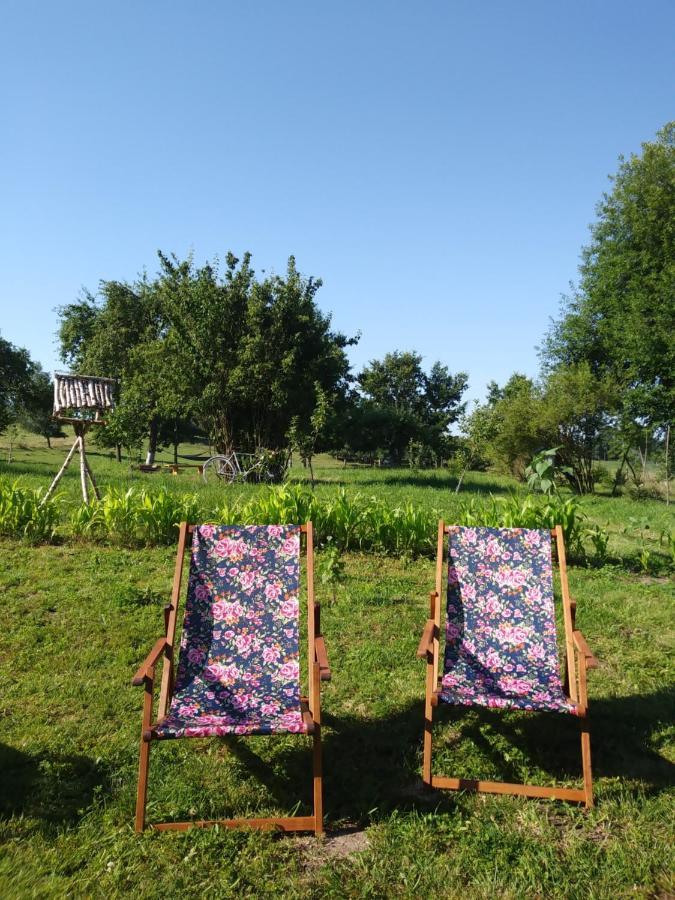 Miejsce Mocy Mazury Apartment Kolno  Екстериор снимка